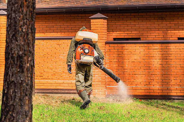 Trusted Ant Control service in Silver Firs, WA - Nex Pest Control